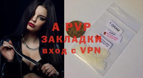 соль ск Иннополис