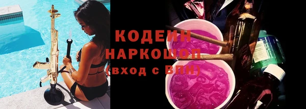 дмт Инта