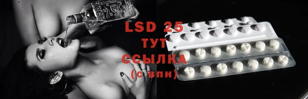 дмт Инта