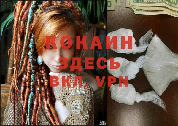 дмт Инта