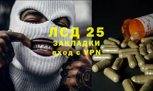 дмт Инта