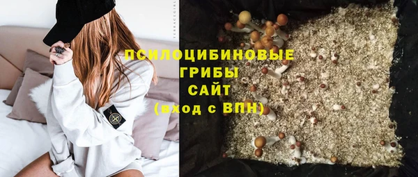 дмт Инта