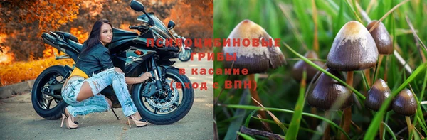 первитин Инсар