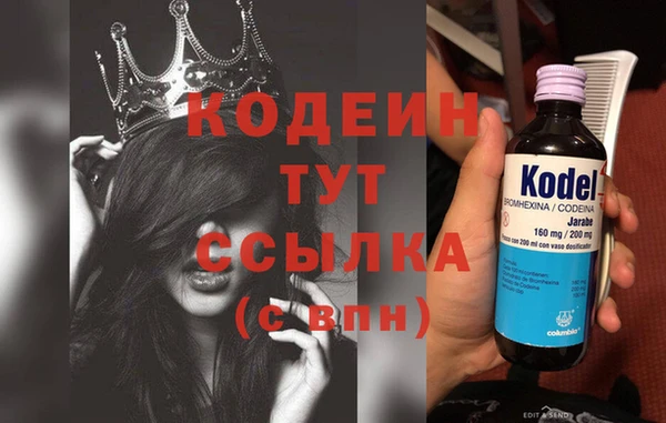 дмт Инта