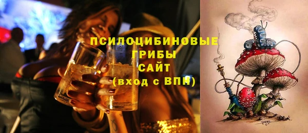соль ск Иннополис