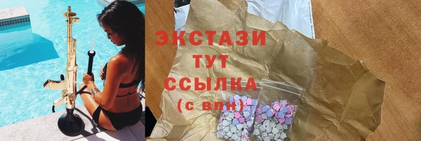 дмт Инта
