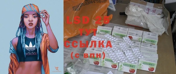 дмт Инта