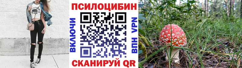 Галлюциногенные грибы Magic Shrooms  Терек 