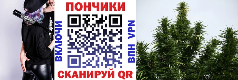 дарк нет как зайти  Терек  Шишки марихуана индика 